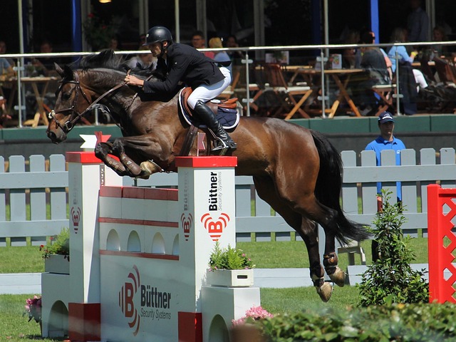 球迷为他唱满整场